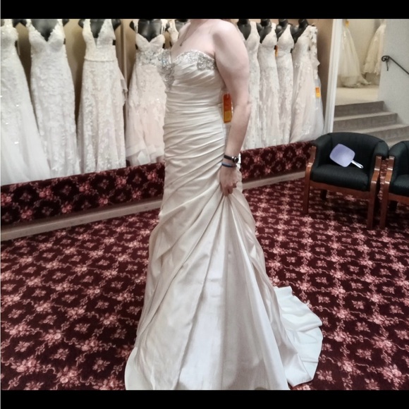 Stunning Wedding Dress - Picture 4 of 5